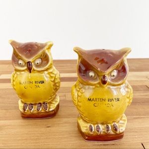 Vintage 70s Ceramic Owl Salt & Pepper Shakers